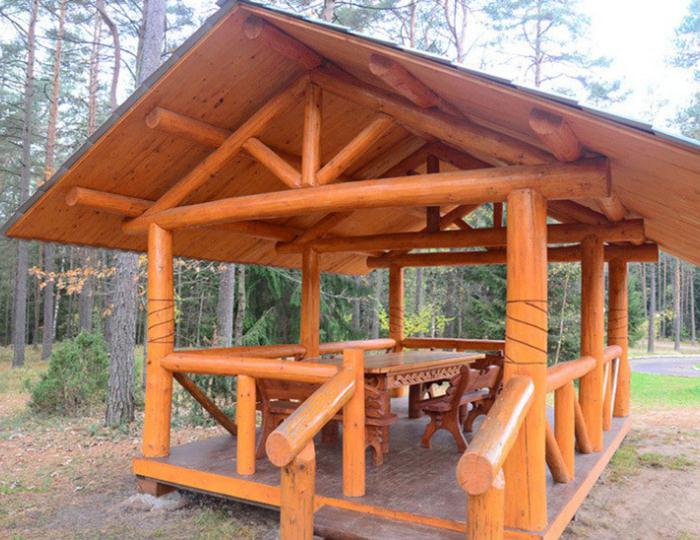 Площадка для шашлыков - Санаторий «Белая Русь» Беларусь